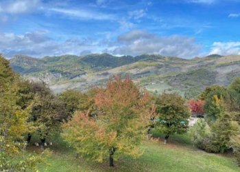 Villa Vergato - foto 11