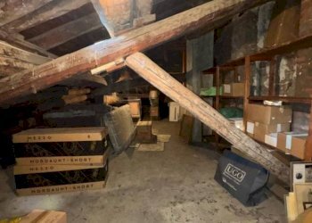 Trilocale Bologna - foto 1