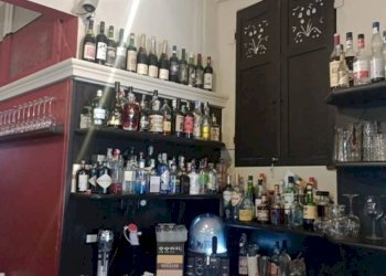 Bar Tavola Calda - Fredda Bologna - foto 1