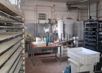 dc3cf315-0d68-49fb-8149-bf77a99d4318.jpeg - Locale Commerciale Sesto Fiorentino - foto 9