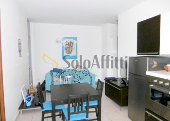 P1010147.JPG - Bilocale Osimo - foto 3