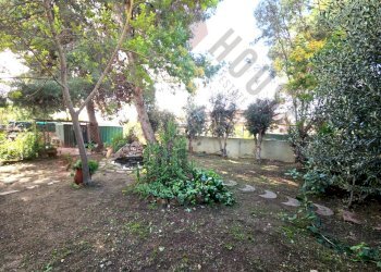 Flow_IMG_20260206_112908_01_423(1).jpg - Villa Via Logudoro, Quartu Sant'Elena - foto 15