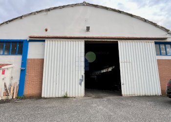 portone di accesso al capannone - Commercial Premises Via di Poggio Gagliardo  11, Montescudaio - photo 5