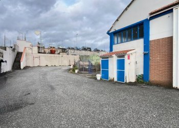 piazzale antistante il capannone - Commercial Premises Via di Poggio Gagliardo  11, Montescudaio - photo 6