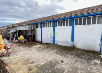 fianco capannone con piazzale di stoccaggio - Commercial Premises Via di Poggio Gagliardo  11, Montescudaio - photo 7