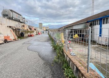 piazzale di accesso alla proprieta - Commercial Premises Via di Poggio Gagliardo  11, Montescudaio - photo 9