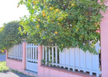 19.jpg - Appartamento Via della pace, Castelnuovo Magra - foto 30