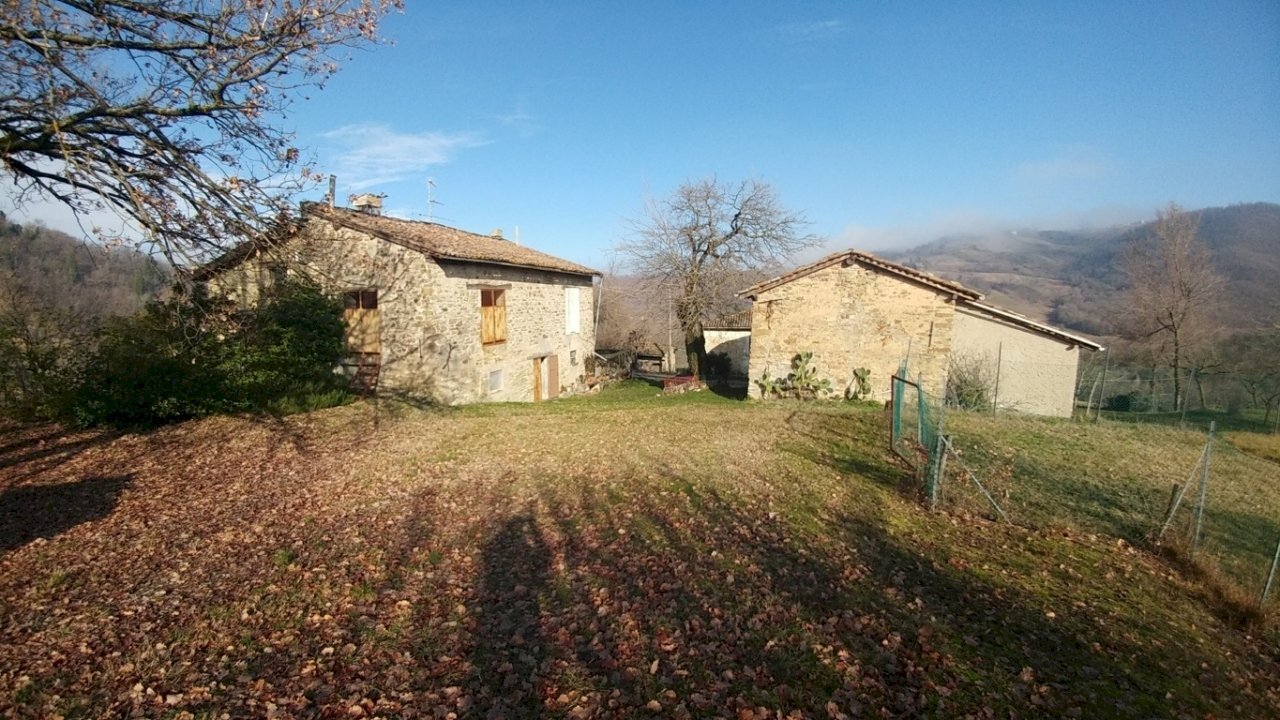 PODERE SAVIGNO (1).jpg - Rustico Via della Pace 20, Valsamoggia - foto 1