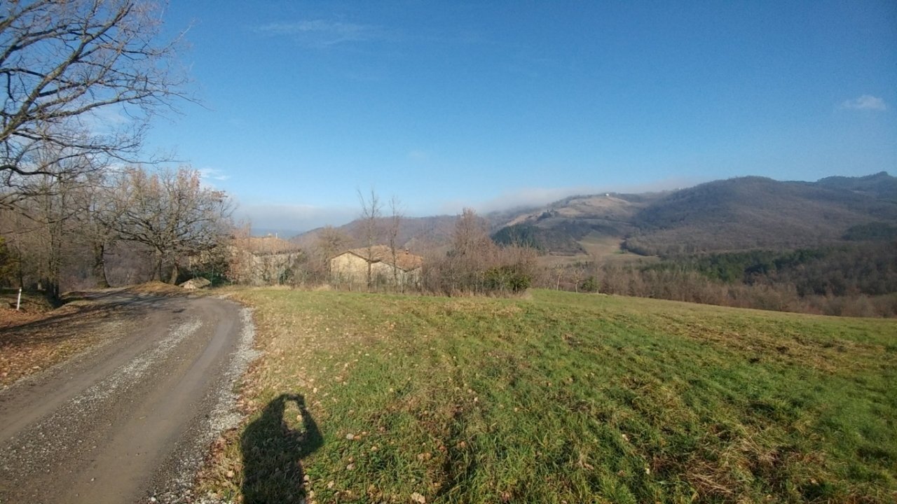 PODERE SAVIGNO (3).jpg - Rustico Via della Pace 20, Valsamoggia - foto 3