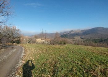 PODERE SAVIGNO (3).jpg - Rustico Via della Pace 20, Valsamoggia - foto 3