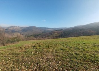 PODERE SAVIGNO (4).jpg - Rustico Via della Pace 20, Valsamoggia - foto 4