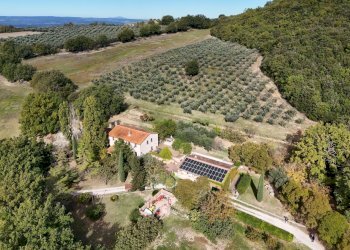 DJI_20251007104043_0207_D.JPG - Casale strada di palliccio 44, Amelia - photo 2