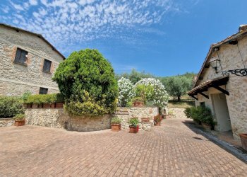 20250703_121115.jpg - Casale strada di palliccio 44, Amelia - photo 9