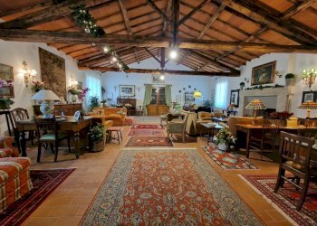 20250703_125040.jpg - Casale strada di palliccio 44, Amelia - photo 12