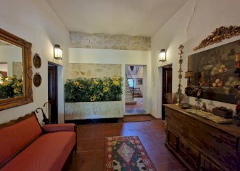 20250703_125115.jpg - Casale strada di palliccio 44, Amelia - photo 13