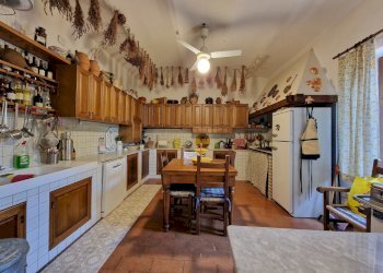 20250703_125342.jpg - Casale strada di palliccio 44, Amelia - photo 15