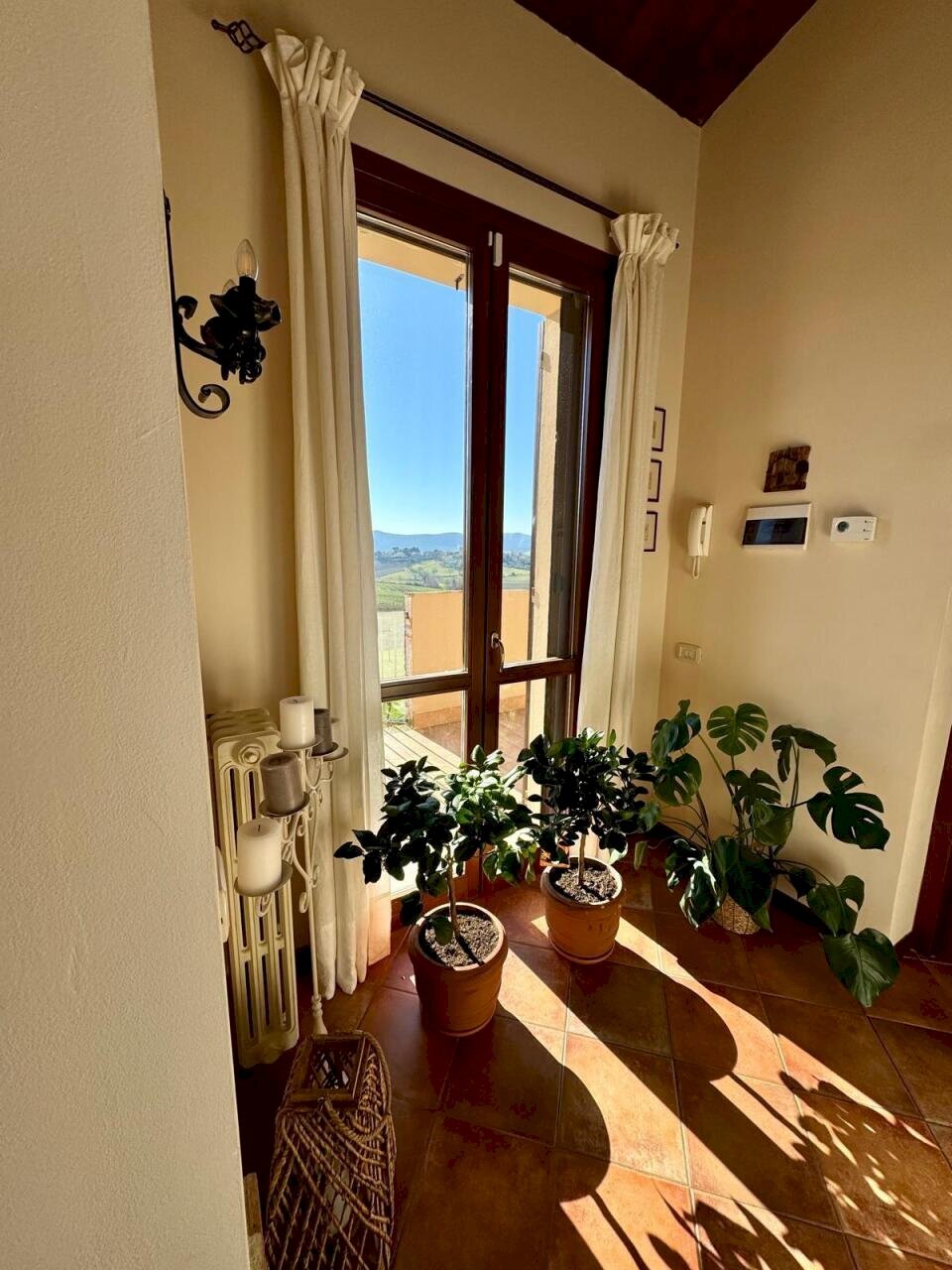 IMG-20250207-WA0084.jpg - Casale VOCABOLO CECCOTTA, Montecastrilli - foto 3