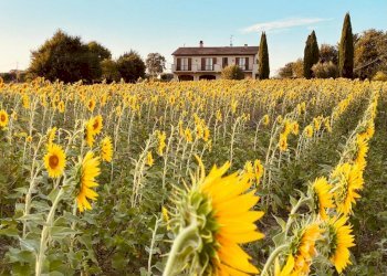 IMG-20250207-WA0099.jpg - Casale VOCABOLO CECCOTTA, Montecastrilli - photo 14