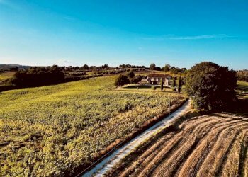 476226088_9159612540771472_399782972649834730_n.jp - Casale VOCABOLO CECCOTTA, Montecastrilli - photo 24