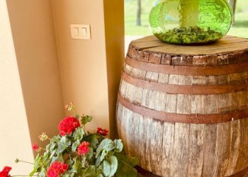 IMG-20250207-WA0110.jpg - Casale VOCABOLO CECCOTTA, Montecastrilli - photo 26