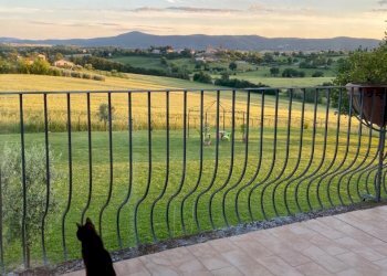 IMG-20250207-WA0111.jpg - Casale VOCABOLO CECCOTTA, Montecastrilli - photo 27