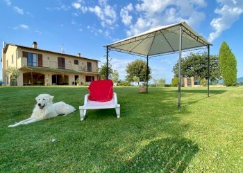 IMG-20250207-WA0113.jpg - Casale VOCABOLO CECCOTTA, Montecastrilli - photo 29