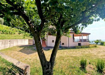 Immagine WhatsApp 2025-06-13 ore 17.17.59_391189c4 - Villa Vocabolo Colle 20, Alviano - foto 15