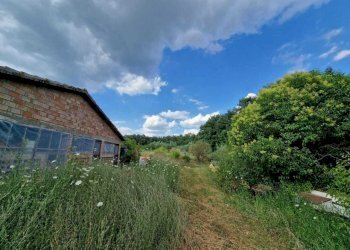 IMG-20260116-WA0021.jpg - Villa VIALE GIACOMO MATTEOTTI, Avigliano Umbro - foto 10