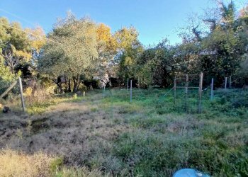 92f2db0c-be87-4a8f-b379-e0442d069411.jpeg - Townhouse Vocabolo San Martino, Montecastrilli - photo 30