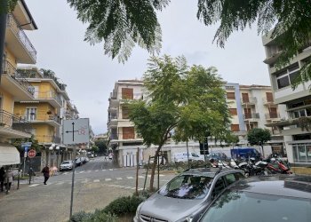 20260127_121129_resized.jpg - Bilocale Via Biancheri, Diano Marina - foto 15