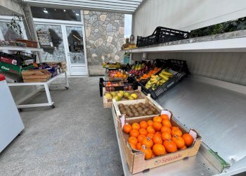 WhatsApp Image 2026-4.jpeg - Alimentari - Gastronomia Corso Giuseppe Mazzini  12, Sanremo - foto 11