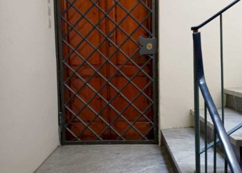 IMG-20260204-WA0042.jpg - Appartamento Camaiore - foto 1