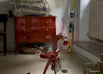 IMG_8726.jpg - Appartamento Camaiore - foto 12