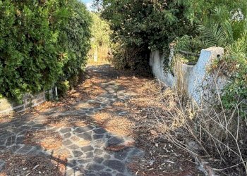 3144c552-740c-4fb6-8cf9-4e13346a9240.jpg - Villa via litoranea  528, Sabaudia - photo 15