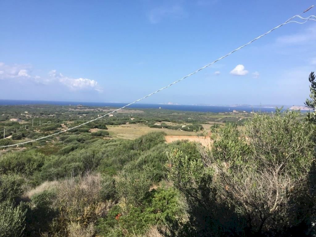 WhatsApp Image 2026-02-06 at 18.38.39 (3).jpeg - Casale Aglientu - foto 1