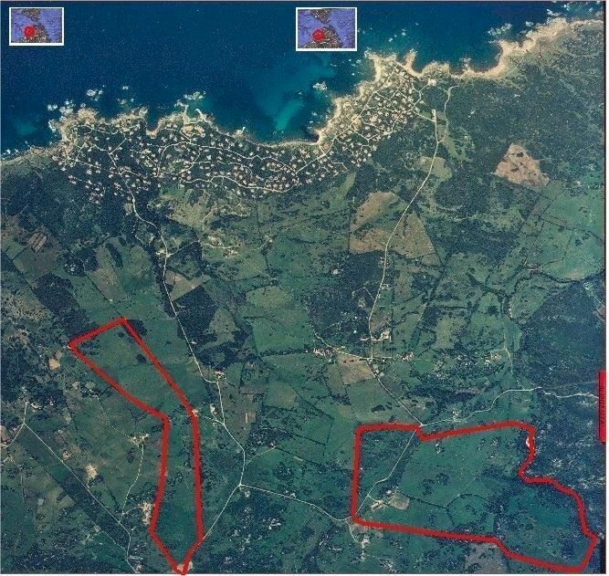 WhatsApp Image 2026-02-06 at 18.38.40 (4).jpeg - Casale Aglientu - planimetria 1