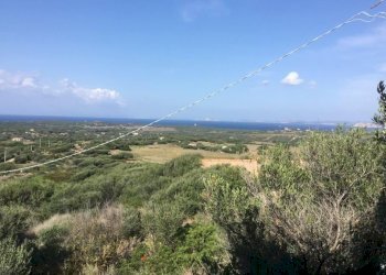 WhatsApp Image 2026-02-06 at 18.38.39 (3).jpeg - Casale Aglientu - photo 1