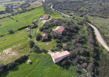 WhatsApp Image 2026-02-06 at 18.38.39 (1).jpeg - Casale Aglientu - photo 2