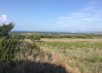 WhatsApp Image 2026-02-06 at 18.38.40 (1).jpeg - Casale Aglientu - photo 5