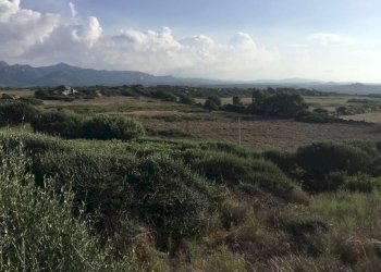 WhatsApp Image 2026-02-06 at 18.38.40.jpeg - Casale Aglientu - photo 6