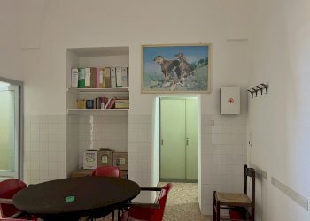 IMG_7636.jpg - Villa Via San Giovanni 13, San Vito dei Normanni - photo 4