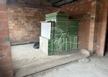 8610acdb-c430-46bc-8781-61ae5fdf21ba.jpeg - Porzione di casa Pietrasanta - foto 4