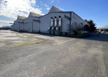 IMG_1561.jpeg - Capannone Via delle Industrie, Guardamiglio - foto 7