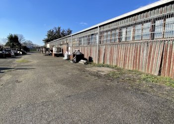 IMG_1569.jpeg - Capannone Via delle Industrie, Guardamiglio - foto 12