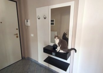 IMG20260201111441.jpg - Appartamento Sanremo - foto 3