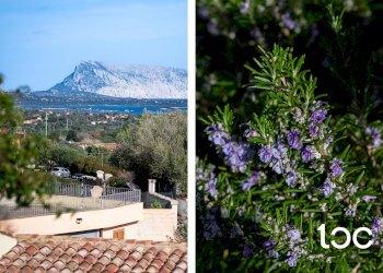 Villa a Schiera San Teodoro - foto 2