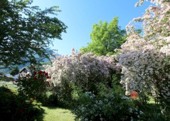 Casa indipendente Chez Ramin, Fénis - foto 23