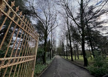 Villa San Lazzaro di Savena - foto 53