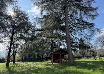 Villa San Lazzaro di Savena - photo 7