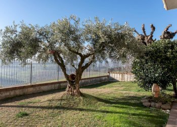 Giardino - Casa indipendente via Mazzangrugno
 
28, Jesi - foto 47